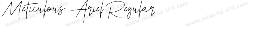 Meticulous Ariel Regular字体转换